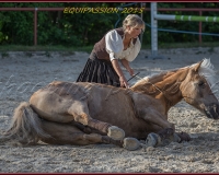 2-13JUIN 0349